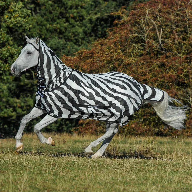 Bucas Buzz-Off Zebra Full Neck Fly Rug